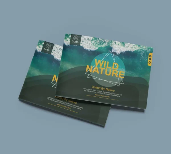 Brochure & Catlog Printing - Image 3