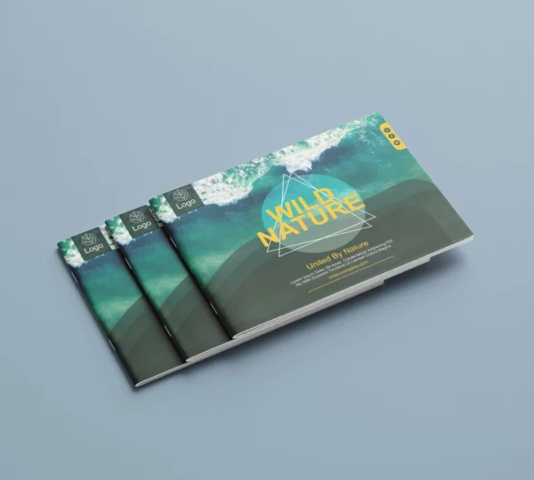 Brochure & Catlog Printing - Image 2