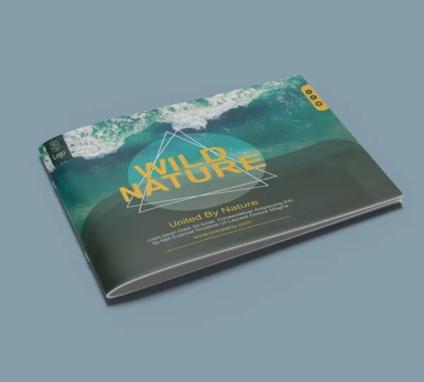 Brochure & Catlog Printing